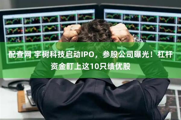 配查网 宇树科技启动IPO，参股公司曝光！杠杆资金盯上这10只绩优股