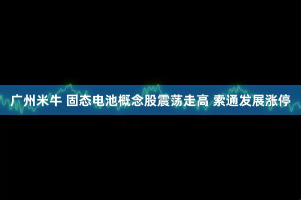 广州米牛 固态电池概念股震荡走高 索通发展涨停