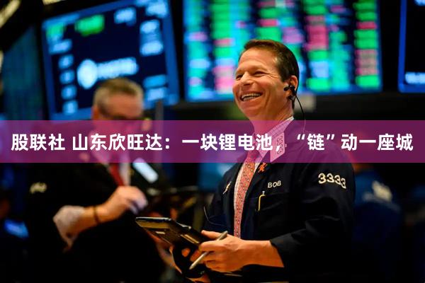 股联社 山东欣旺达：一块锂电池，“链”动一座城