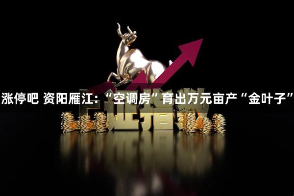 涨停吧 资阳雁江: “空调房”育出万元亩产“金叶子”