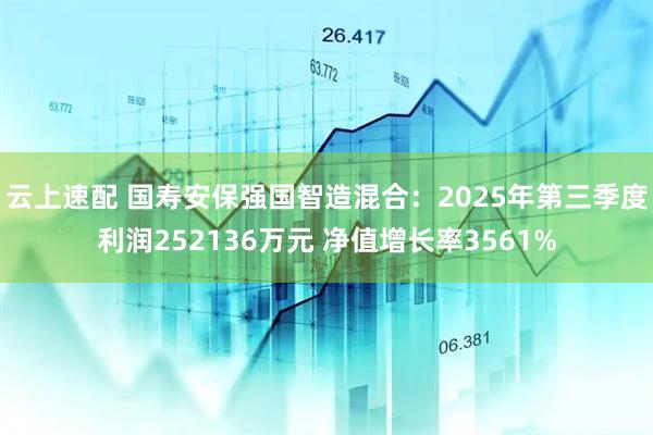 云上速配 国寿安保强国智造混合：2025年第三季度利润252136万元 净值增长率3561%